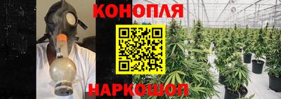 каннабис Ставрополь