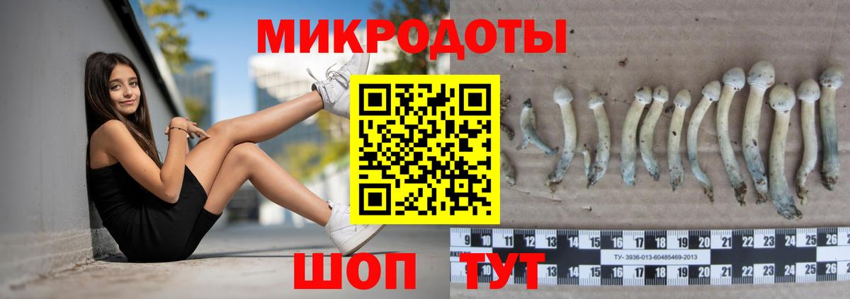 Благодарный  Псилоцибиновые грибы мицелий  Вход с VPN 