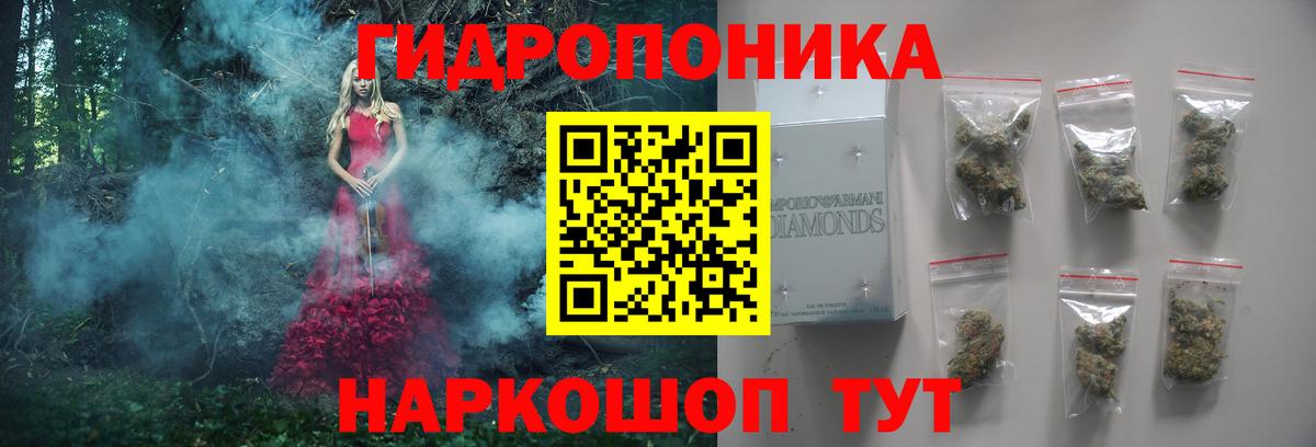 Каннабис конопля  Шишки марихуана MAZAR  Благодарный  Шишки марихуана семена  Вход с VPN 